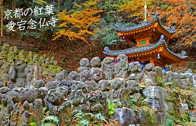 京都観光愛宕念仏寺1