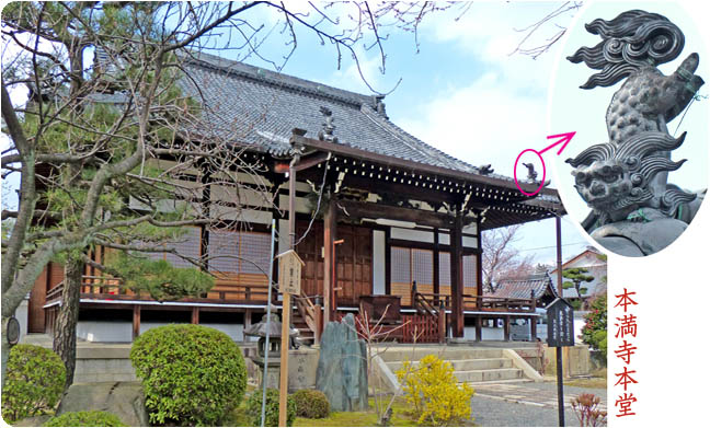 京都の桜本満寺6