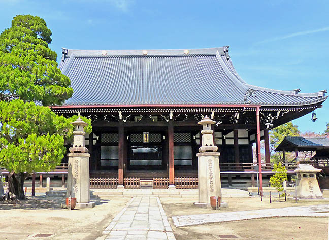 妙顕寺の桜2