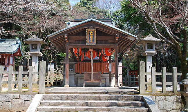 竹中稲荷神社桜4