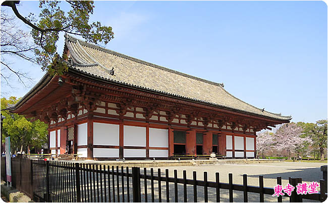 京都の桜東寺7