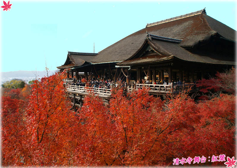 清水寺舞台の紅葉